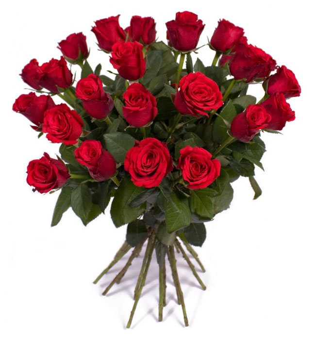 Ramo de 24 Rosas Rojas San Valentín-Entrega a domicilio